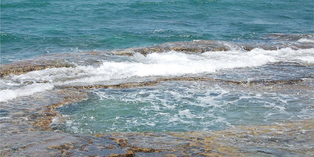 Yamim Suites On The Beach Shave Ziyyon Rom bilde